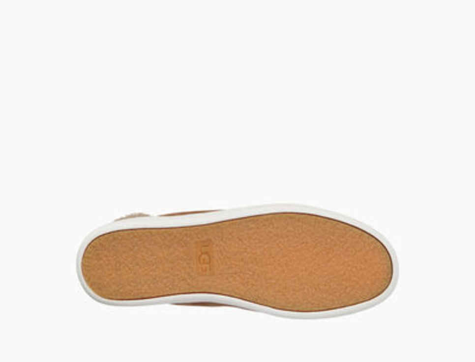 Ugg olive high top sneaker charcoal outlet